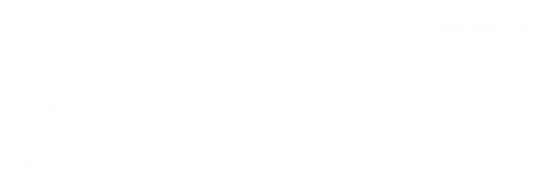 Phantom (white)