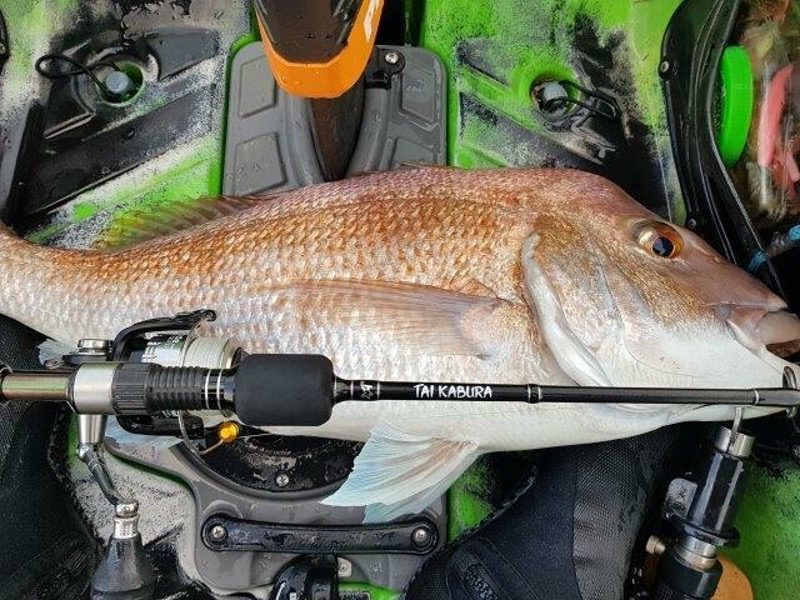 tai kabura catch